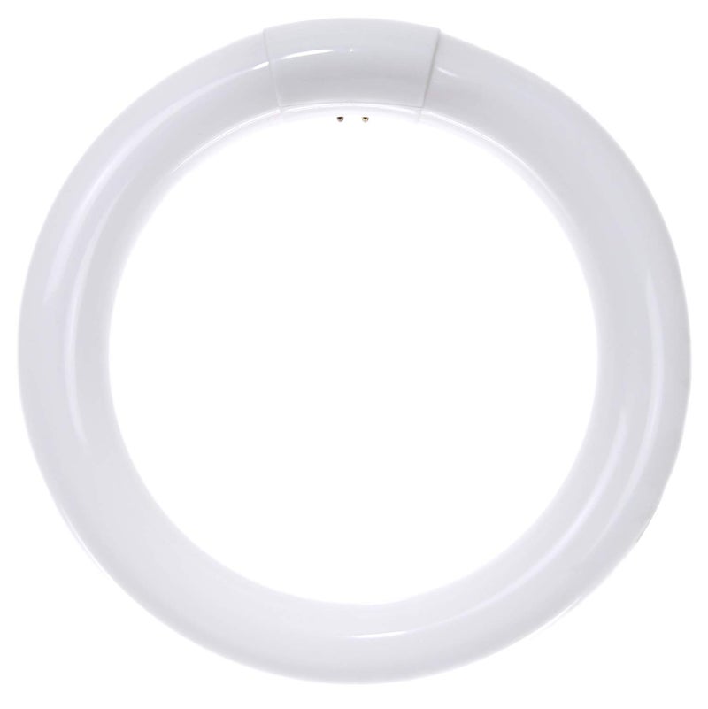 Sunlite 41316 FC8T9/CW 8-Inch T9 Round Fluorescent Circline Lamp, 22 Watts, 1250 Lumens, 4100K Cool White, G10Q 4-Pin Base, 1 Pack - Image 1